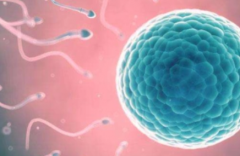 福建省福州市做三代试管婴儿大约需要多少费用，10-20万花费全面介绍