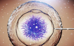 单身人士能在德阳人民医院做第三代试管婴儿吗？成功率怎么样？