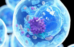 南京第三代试管婴儿大概花多少钱？2026费用明细清晰呈现