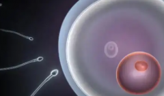 四川省成都市私人医院做第三代试管婴儿单次费用约10万到18万