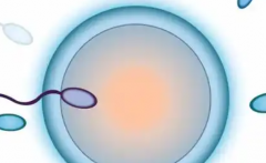 昆明助孕费用清单，2026年公立vs私立医疗机构收费对照表