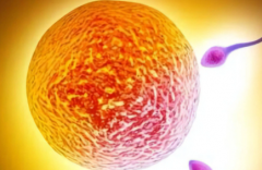 2026年昆明市第三代试管婴儿费用清单公开，价格明细抢先看