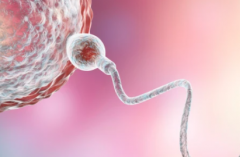 成都市第三代试管费用大约多少，真实收费价格表