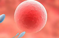 2026年未婚人士在广东省中医院大学城医院做试管婴儿价格贵不贵？十万