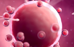 柬埔寨做第三代试管婴儿大约花费多少？费用构成与预算参考