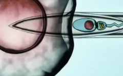 2026年河北第三代试管婴儿价格贵吗？成功所需费用分三部分