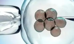 2026年蚌埠市第三人民医院未婚单身试管助孕价格表一览