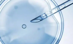 国内单身能不能做试管助孕？承德中心医院可不可以做？