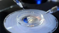 天津做三代试管助孕价格多少？附三代试管详细费用清单