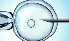 2026年在河北省做试管助孕费用明细出炉，具体花销一目了然