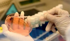 2026江苏南京市三代试管婴儿费用清单：10-20万资金分配+医保报销方法