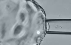 2026年单身去温州附二医做试管婴儿全部费用大概多少？