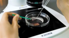 南宁三代试管助孕具体要多少钱？各项开支详细汇总