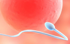 陕西省西安市三代试管助孕费用一览表，附真实价格清单