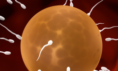 2026年无结婚证在武汉康健医院做三代试管的费用高吗？费用详细介绍