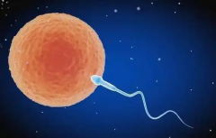 格鲁吉亚三代试管助孕价格是多少？12~25万详细开支及避坑建议