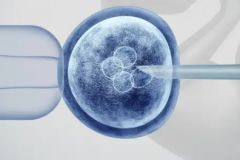 2026年广东深圳市第三代试管婴儿助孕费用曝光：费用区间及重要提醒