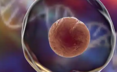 2026年单身女性在海南301医院做试管婴儿总费用是多少？