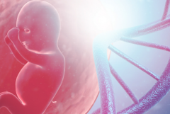 2026深圳三代试管婴儿价格一览，这份收费预估请保存