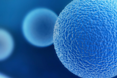 杭州三代试管婴儿大概多少钱？真实助孕价格比预期更亲民