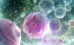 2026吉尔吉斯斯坦试管婴儿助孕收费标准发布，最高不超过12万