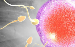 2026海外第三代试管婴儿费用全览，各项目价格明细全面公开