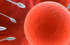 2026年在广西第一附属医院无结婚证做试管婴儿费用高吗？12万能搞定吗