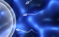 2026年单身女性在阳江市人民医院能做试管婴儿吗？