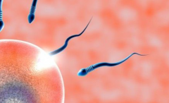 河北石家庄三代试管助孕费用详情发布，各项收费明细全公开