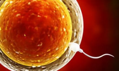 2026年杭州市第三代试管费用明细大公开，附省钱攻略