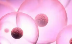 河北三代试管婴儿助孕费用详情，助孕整体花费区间是多少