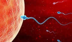 四川第三代试管婴儿花费多少？2026年预算准备须知