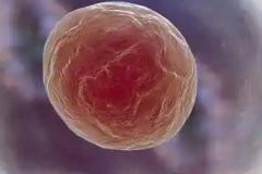 2026年未婚人士去盐城妇幼做试管大概要花多少钱？