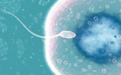 深圳市三代试管婴儿费用多少？附完整助孕价格一览表