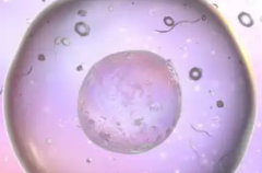 2026湖南长沙试管助孕费用清单全揭秘