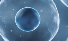 衡阳南华星辉生殖健康专科医院单身女性试管婴儿成功率有多高？