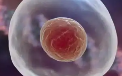 单身人士能在锦州市妇婴医院做第三代试管婴儿吗？成功率怎么样？