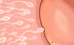 2026年枣庄市立医院未婚单身试管助孕价格表一览