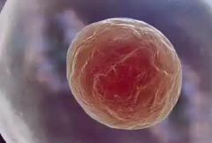 2026单身女性在桂平人民医院试管婴儿需要多少钱？附上这份费用明细表