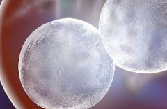 2026年兰州做第三代试管婴儿一次大概花费是多少？详细说明各项费用明