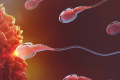 2026年合肥三代试管助孕费用曝光，15万至20万，具体花费全盘点