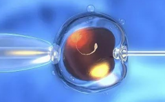 杭州市第三代试管助孕生小孩费用参考表，附上各大医院排行