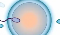 长沙市助孕机构收费价格全曝光(含长沙助孕中心TOP10排名榜)