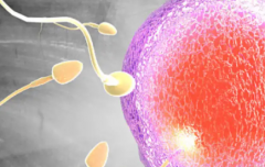 2026沈阳第三代试管婴儿怀孕费用全面讲解，具体支出明细一览表