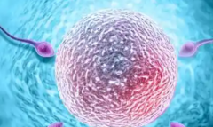 南京第三代试管婴儿2026最新价格曝光