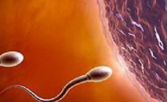 2026年国外三代试管婴儿费用出炉：8至15万，附具体收费明细