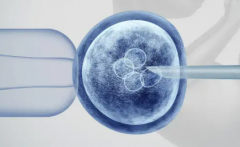 2026年合肥市三代试管助孕需要多少费用，各项收费明细一览表