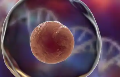 中山一院单身人士试管婴儿成功几率大吗？