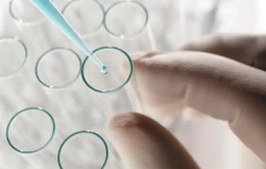 单身人士能在玉溪人民医院做第三代试管婴儿吗？成功率怎么样？