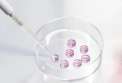 安徽合肥第三代试管助孕费用完整说明：附详细费用表与医院推荐